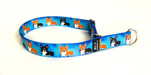 obroża PEM blue PŁZ zm.jpg