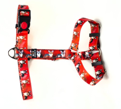 guard cardi red 1.JPG