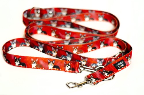 smycz CARDI red zm.jpg