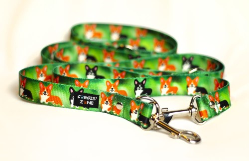 smycz PEM green zm.jpg