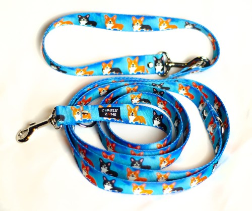 smycz PEM blue 1 zm.jpg