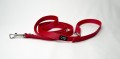 _DSC4526zm.jpg