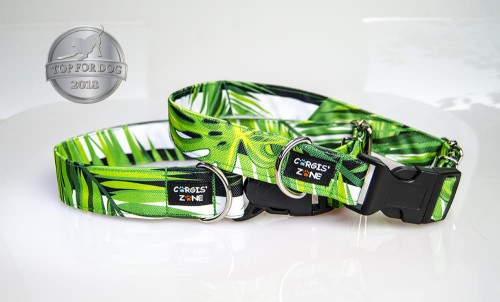 JUNGLE  obrozeTFD.jpg