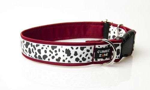 duze-krowie-latki 2 zm.jpg